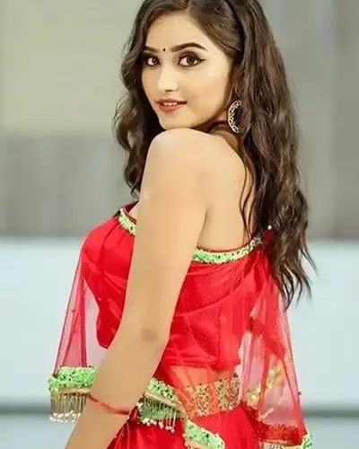 Escort In Hoshangabad